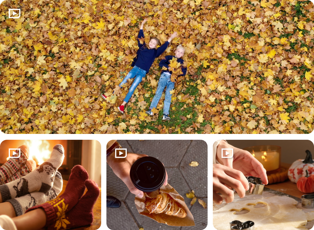 Fall Feels