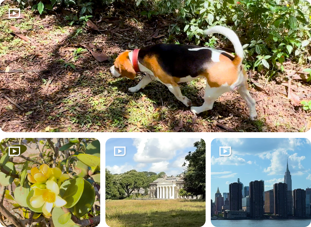 Creators living with Parkinson's